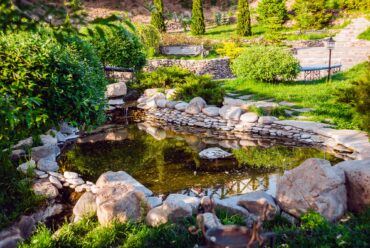 stones around pond